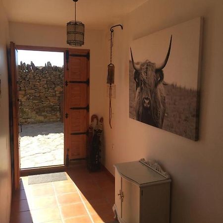 Masia Campos Culla Dış mekan fotoğraf